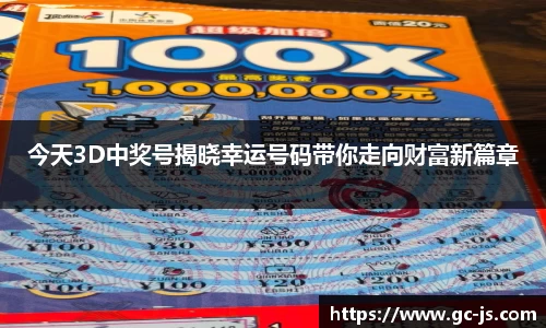 今天3D中奖号揭晓幸运号码带你走向财富新篇章