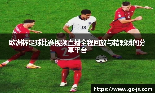 欧洲杯足球比赛视频直播全程回放与精彩瞬间分享平台